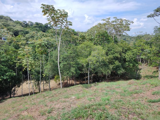 Lote en venta en Pance Bajo, Cali, 15059 m² · foto 13 de 15
