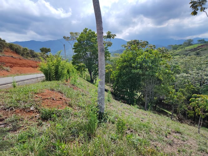 Lote en venta en Pance Bajo, Cali, 15059 m² · foto 14 de 15