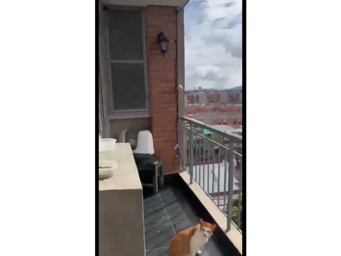 Apartamento de 3 alcobas en venta en El Porvenir, Funza, 79 m² · foto 14 de 24