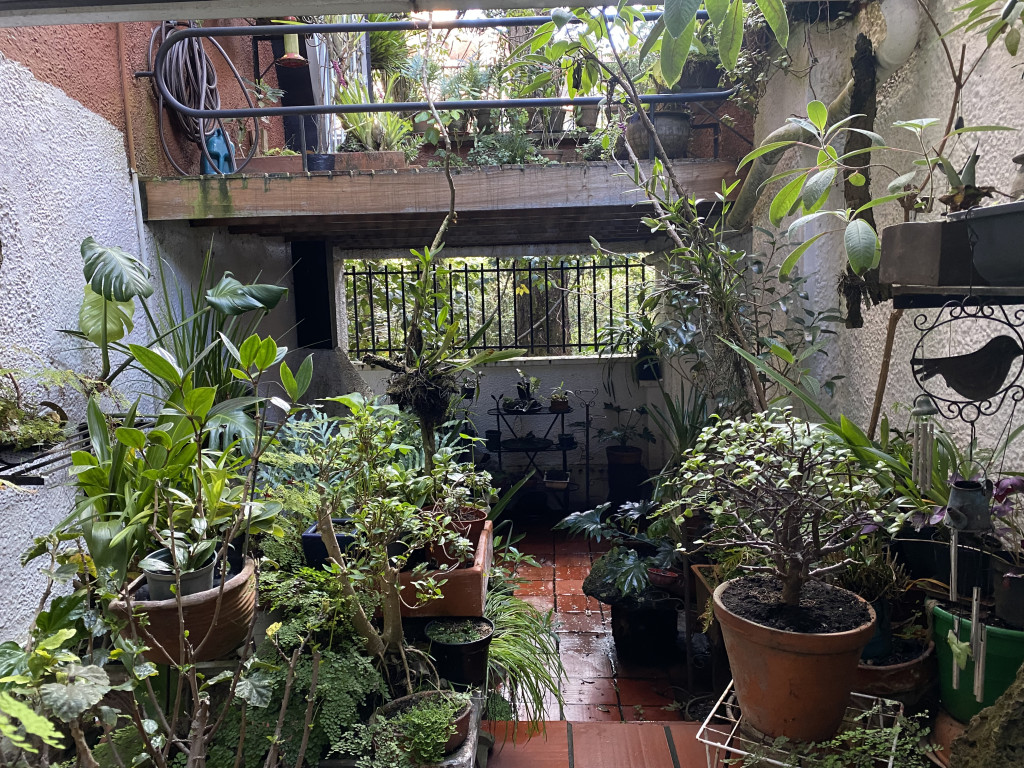 Apartamento en venta en Los Rosales, Bogotá · foto 13 de 14