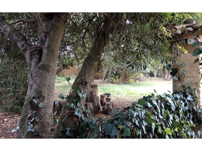 Casa de 3 alcobas en venta en Vda Canelon, Cajicá, 500 m² · foto 3 de 24