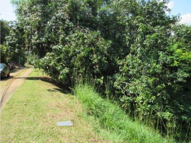 Lote en venta en Alfaguara, Jamundí, 1500 m² · foto 3 de 24
