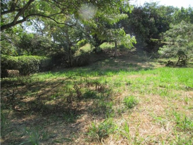 Lote en venta en Alfaguara, Jamundí, 1500 m² · foto 4 de 24