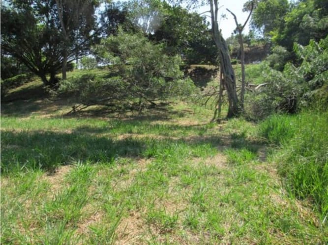 Lote en venta en Alfaguara, Jamundí, 1500 m² · foto 6 de 24