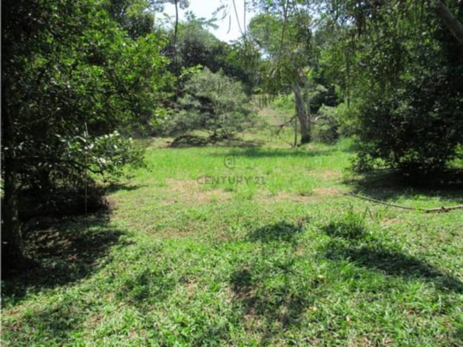 Lote en venta en Alfaguara, Jamundí, 1500 m² · foto 7 de 24