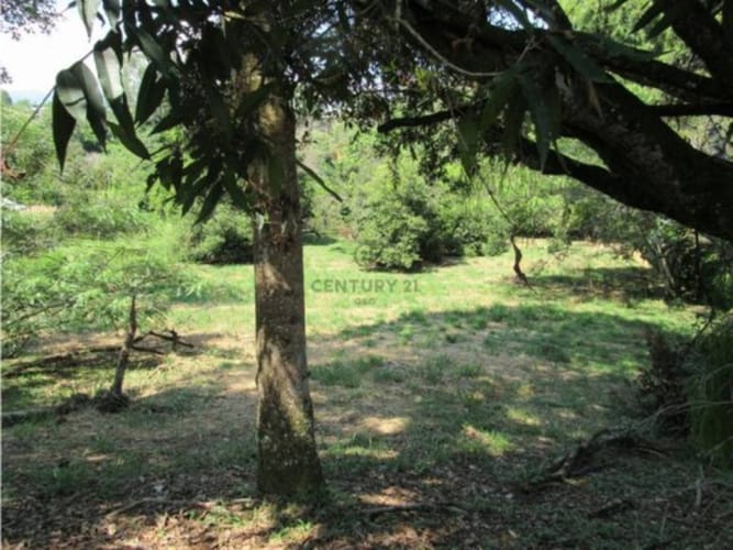 Lote en venta en Alfaguara, Jamundí, 1500 m² · foto 11 de 24