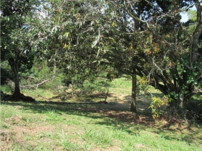 Lote en venta en Alfaguara, Jamundí, 1500 m² · foto 12 de 24