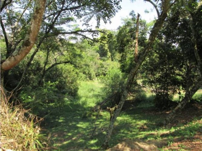 Lote en venta en Alfaguara, Jamundí, 1500 m² · foto 13 de 24