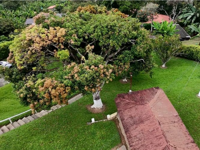Finca en venta en Altagracia, Pereira, 100 m² · foto 4 de 24