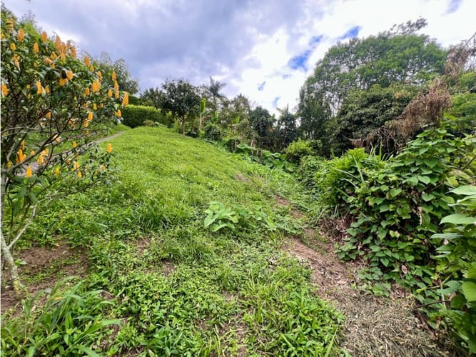 Finca en venta en Altagracia, Pereira, 100 m² · foto 7 de 24