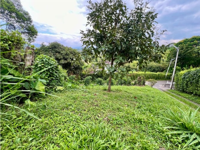 Finca en venta en Altagracia, Pereira, 100 m² · foto 9 de 24