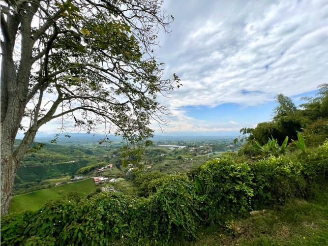 Finca en venta en Altagracia, Pereira, 100 m² · foto 12 de 24