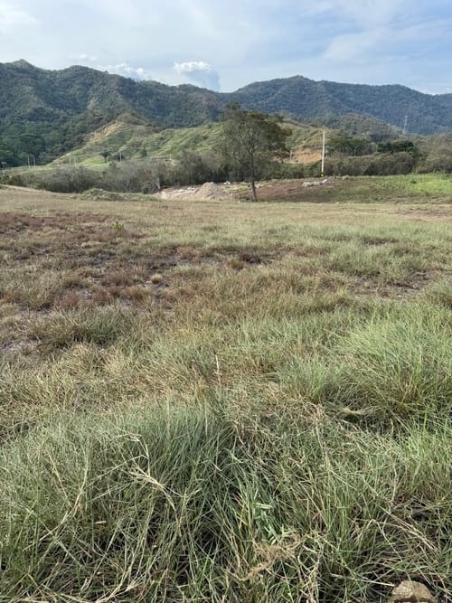 Lote en venta en Chucuni, Ibagué, 800 m² · foto 10 de 10