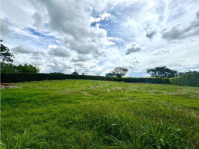 Lote en venta en Cerritos, Pereira, 2000 m² · foto 2 de 7