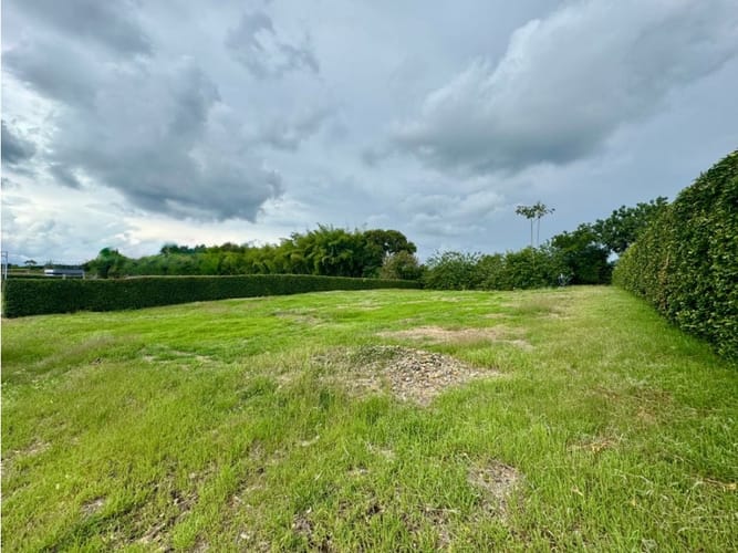 Lote en venta en Cerritos, Pereira, 2000 m² · foto 3 de 7