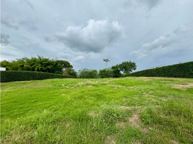 Lote en venta en Cerritos, Pereira, 2000 m² · foto 4 de 7
