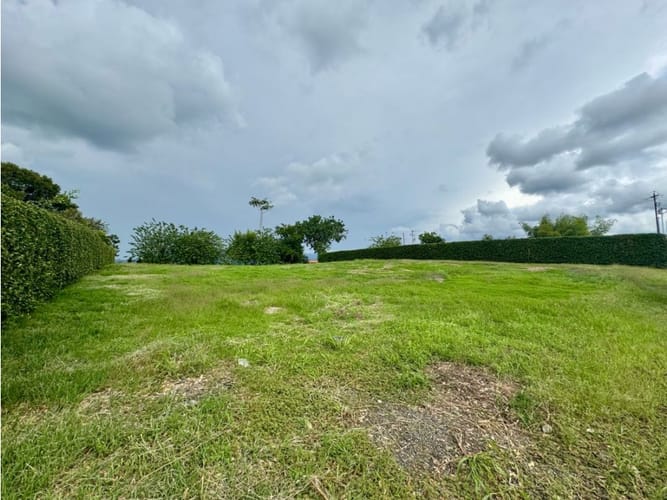 Lote en venta en Cerritos, Pereira, 2000 m² · foto 5 de 7