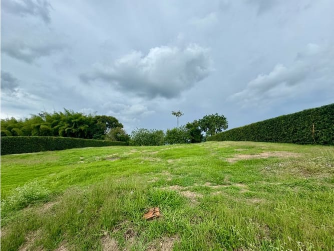 Lote en venta en Cerritos, Pereira, 2000 m² · foto 6 de 7