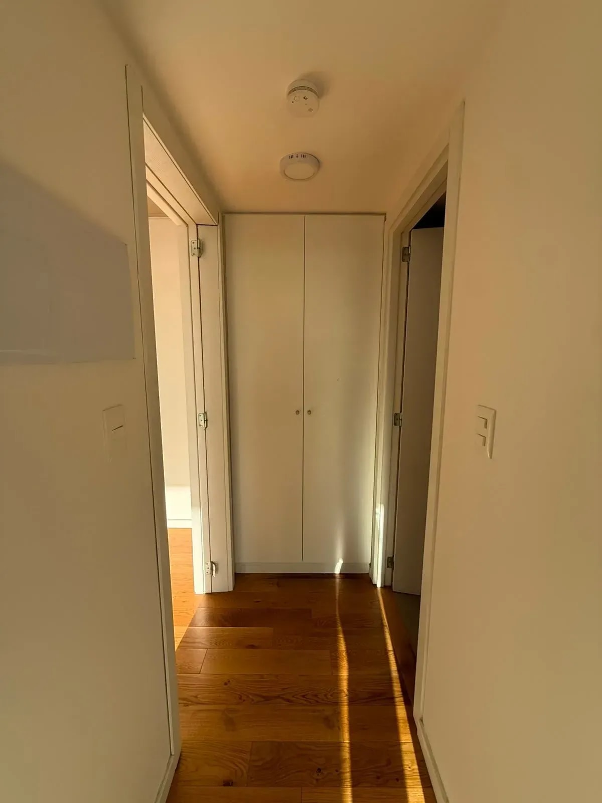 Alquilo Apartamento 1 dormitorio Carrasco Norte con cochera y box · Foto 9
