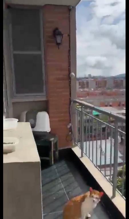 Apartamento en venta en Conjunto Residencial Reservas De Mallorca, Mosquera · foto 11 de 24