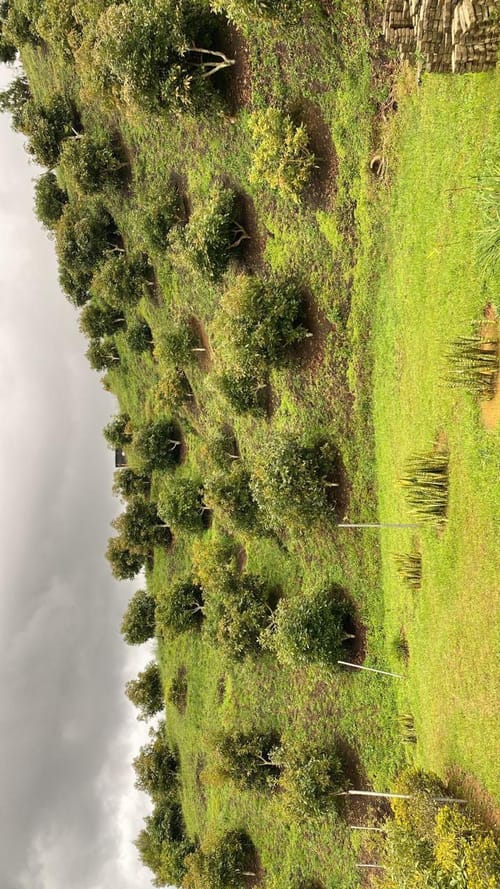 Casa de 3 alcobas en venta en Guarne, 150 m² · foto 13 de 14