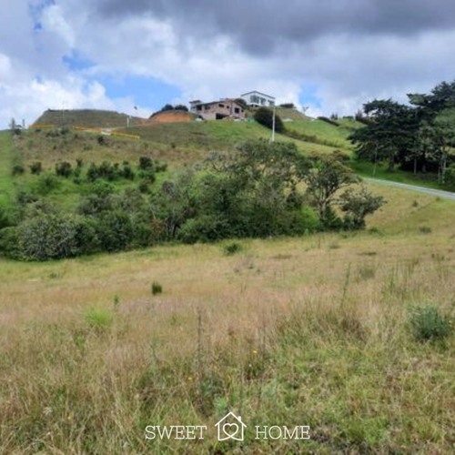 Lote en venta en Don Diego, El Retiro, 7385 m² · foto 2 de 10