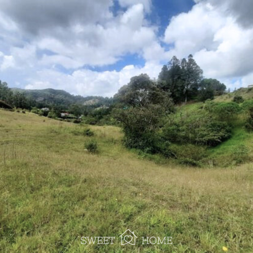 Lote en venta en Don Diego, El Retiro, 7385 m² · foto 7 de 10