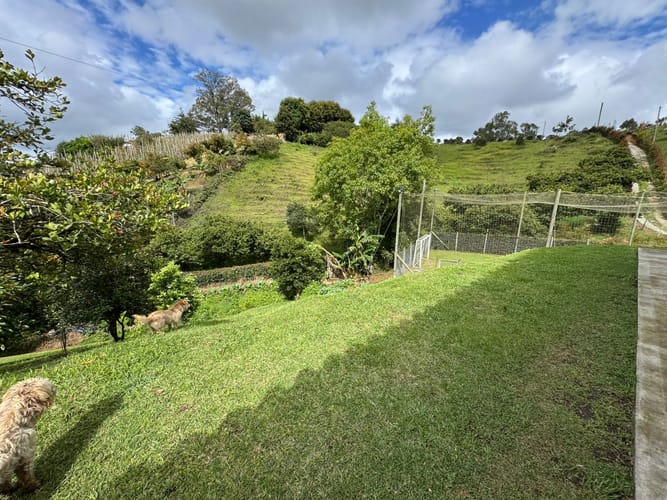 Finca en venta en Cascajo Arriba, Marinilla, 150 m² · foto 3 de 19