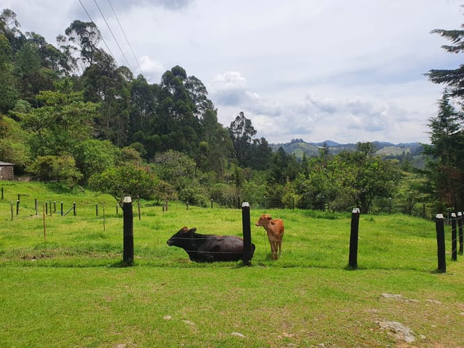 Finca en venta en Puente Pelaez, El Retiro · foto 3 de 19