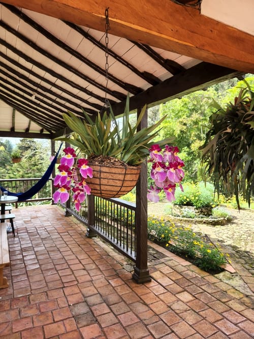 Finca en venta en Puente Pelaez, El Retiro · foto 4 de 19