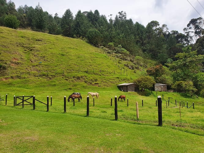 Finca en venta en Puente Pelaez, El Retiro · foto 19 de 19
