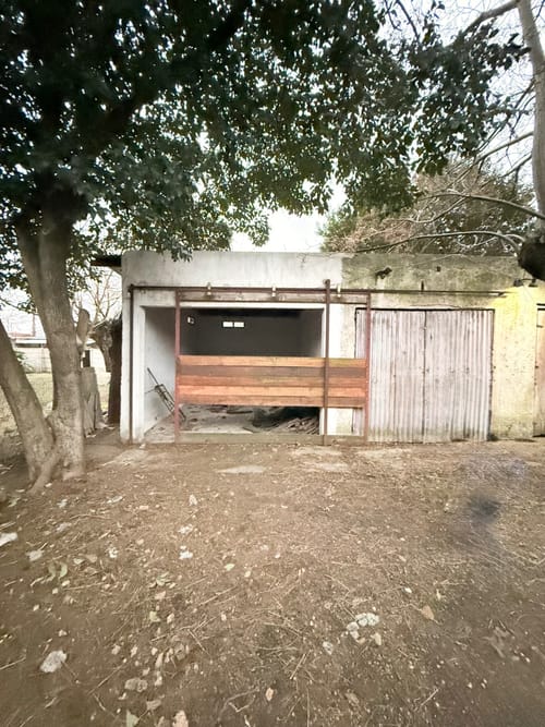 Photo 5 of 29