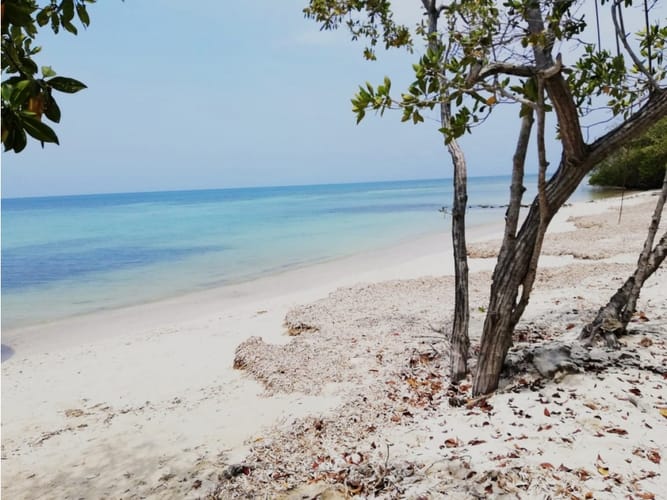 Lote en venta en Barú, Cartagena, 30250 m² · foto 4 de 12