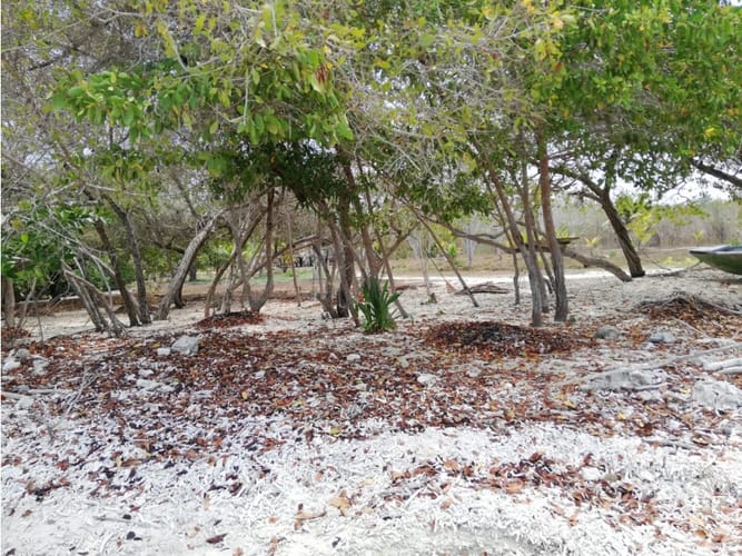 Lote en venta en Barú, Cartagena, 30250 m² · foto 7 de 12