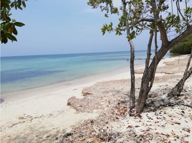 Lote en venta en Barú, Cartagena, 30250 m² · foto 10 de 12