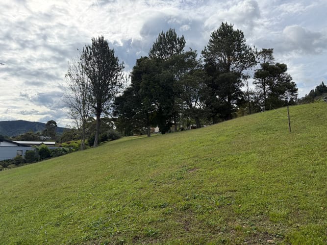 Lote en venta en Guamito, La Ceja, 2528 m² · foto 4 de 11