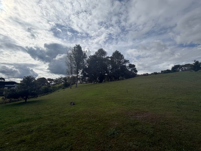 Lote en venta en Guamito, La Ceja, 2528 m² · foto 5 de 11