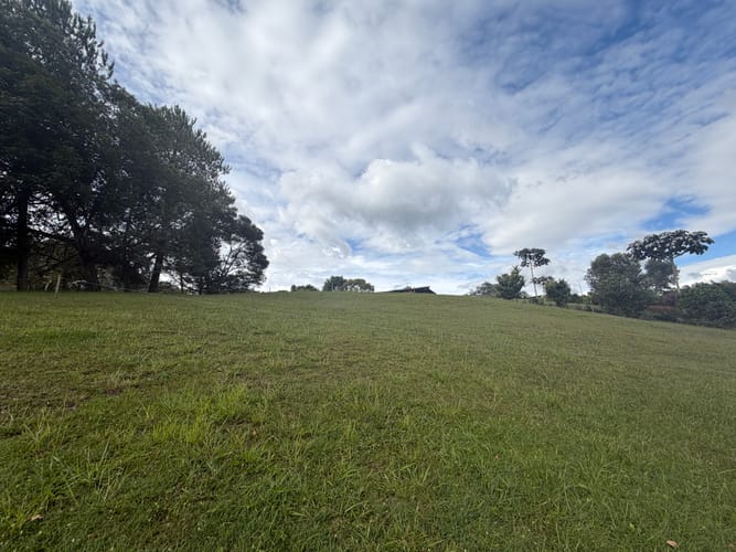 Lote en venta en Guamito, La Ceja, 2528 m² · foto 7 de 11