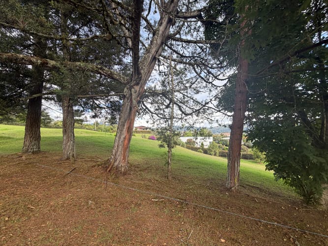 Lote en venta en Guamito, La Ceja, 2528 m² · foto 11 de 11