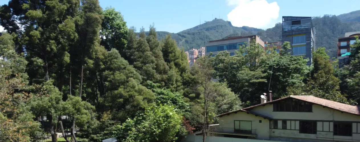 Apartamento de 3 alcobas en venta en La Cabrera, Bogotá, 302 m² · foto 5 de 5