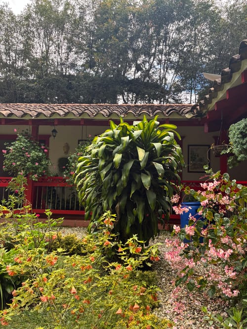 Casa de 5 alcobas en venta en El Carmen De Viboral, El Carmen de Viboral, 330 m² · foto 18 de 23