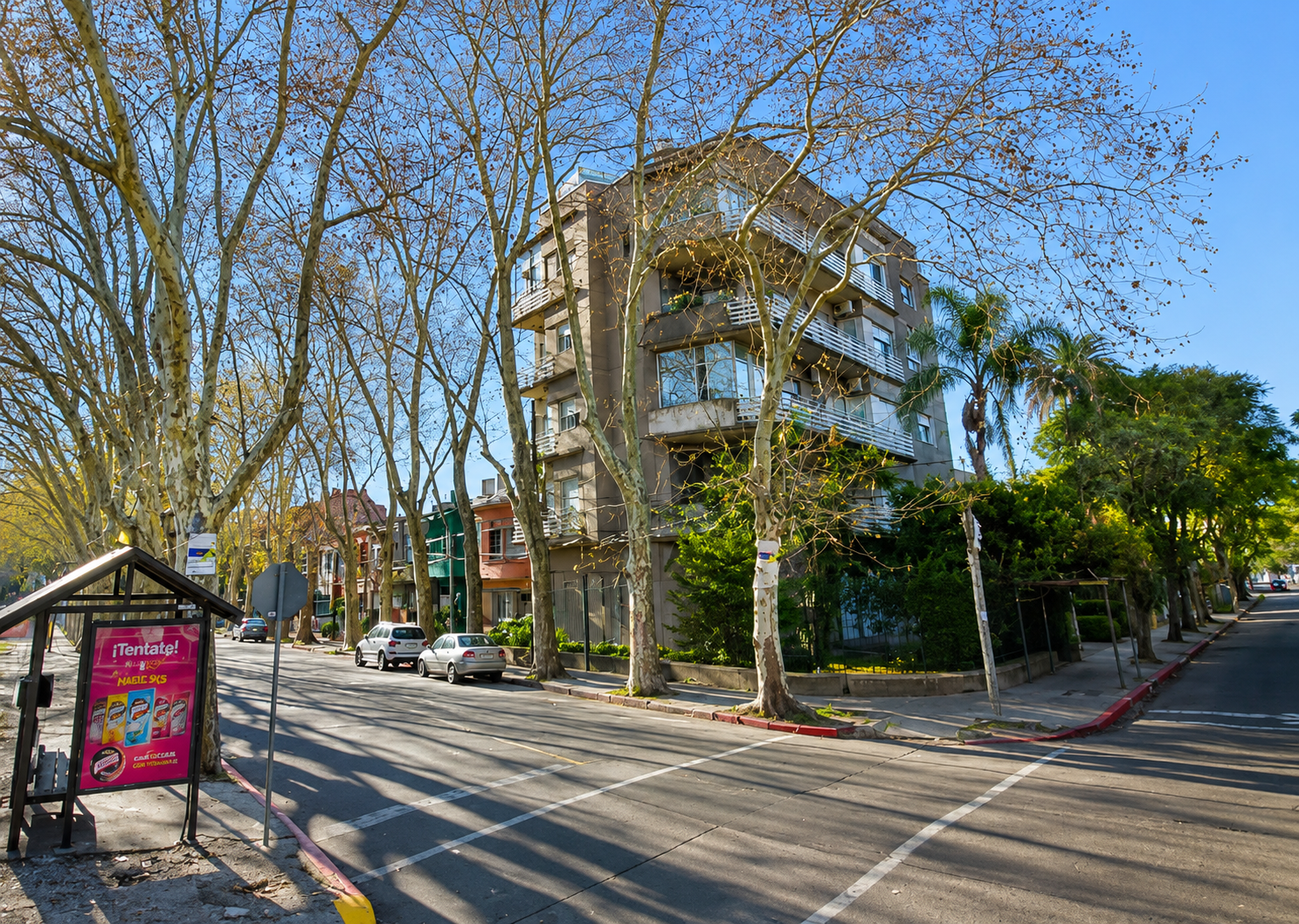 Apartamento en Alquiler, Inmejorable Ubicación. 2 Dormitorios, 2 baños. Amplio. Bajos gastos comunes. · Foto 11