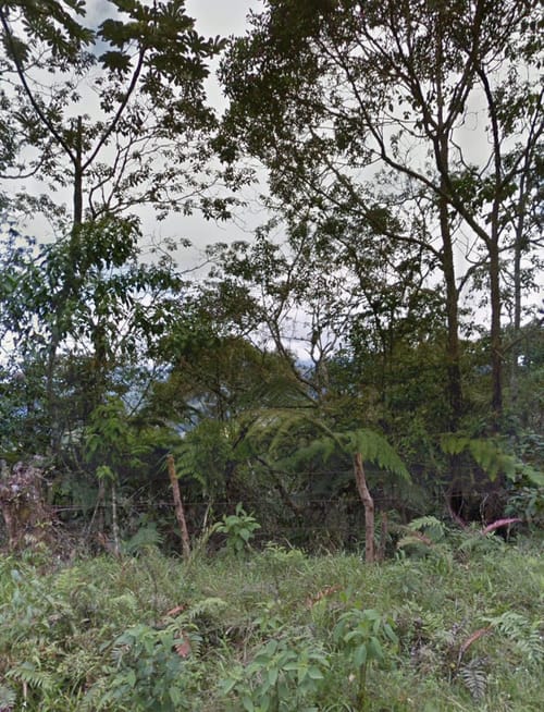 Lote en venta en Alto Aguacatal, Cali · foto 4 de 7