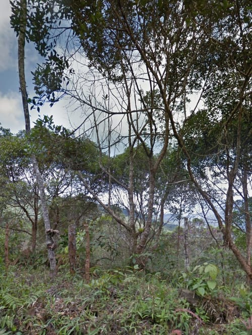 Lote en venta en Alto Aguacatal, Cali · foto 5 de 7