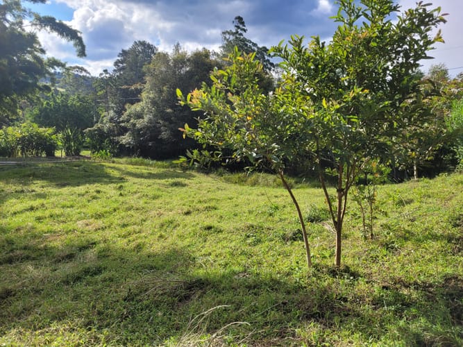 Lote en venta en Cabeceras De Llanogrande, Rionegro, 5000 m² · foto 3 de 8