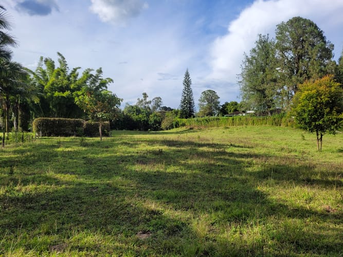 Lote en venta en Cabeceras De Llanogrande, Rionegro, 5000 m² · foto 4 de 8