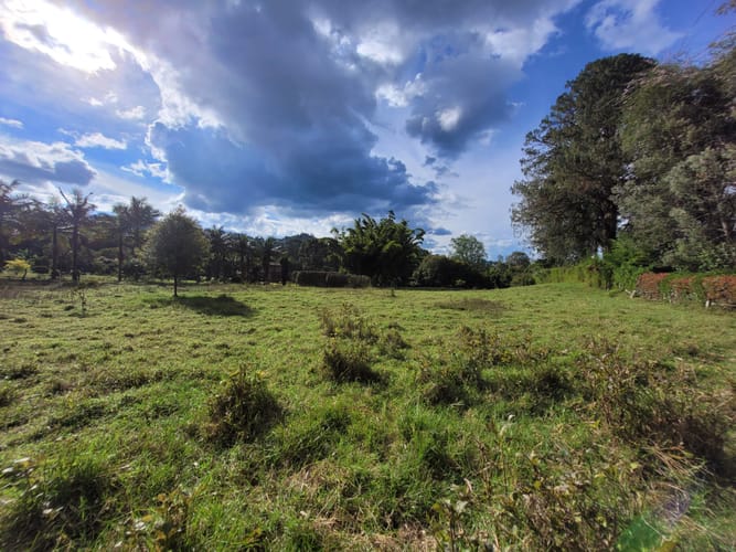 Lote en venta en Cabeceras De Llanogrande, Rionegro, 5000 m² · foto 5 de 8