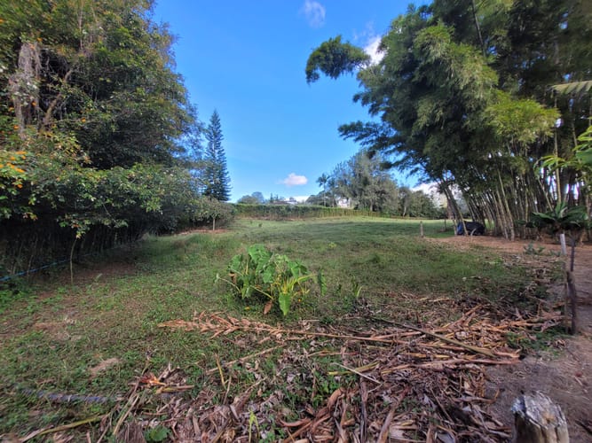 Lote en venta en Cabeceras De Llanogrande, Rionegro, 5000 m² · foto 6 de 8
