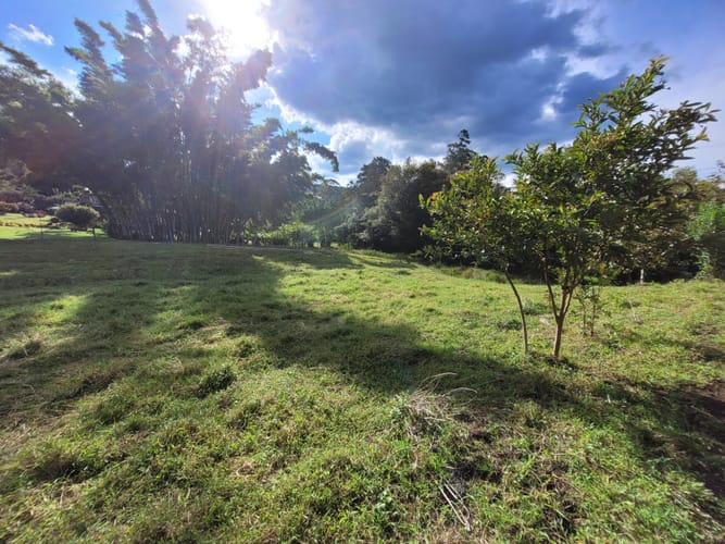 Lote en venta en Cabeceras De Llanogrande, Rionegro, 5000 m² · foto 7 de 8
