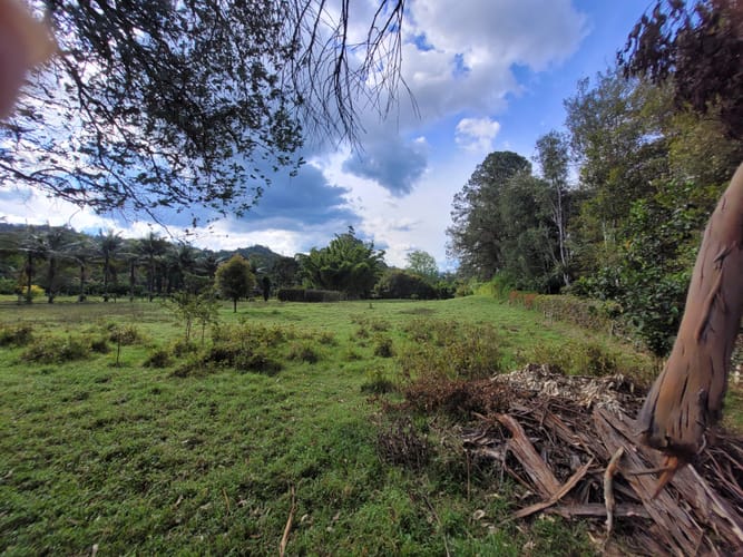 Lote en venta en Cabeceras De Llanogrande, Rionegro, 5000 m² · foto 8 de 8